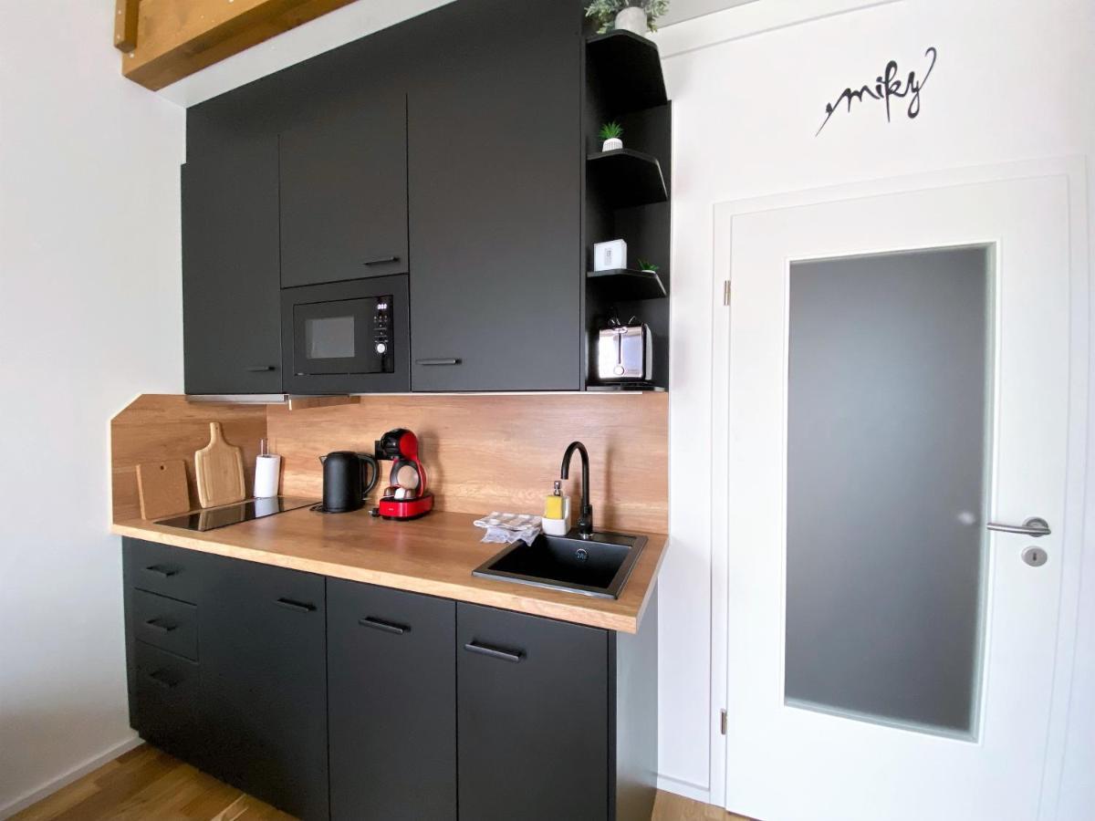 Miky Apartmán Klínovec view Loučná pod Klínovcem Exterior foto