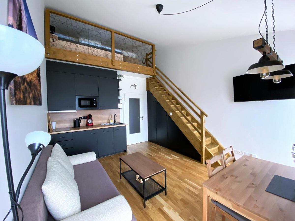 Miky Apartmán Klínovec view Loučná pod Klínovcem Exterior foto